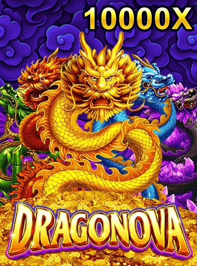 duy88